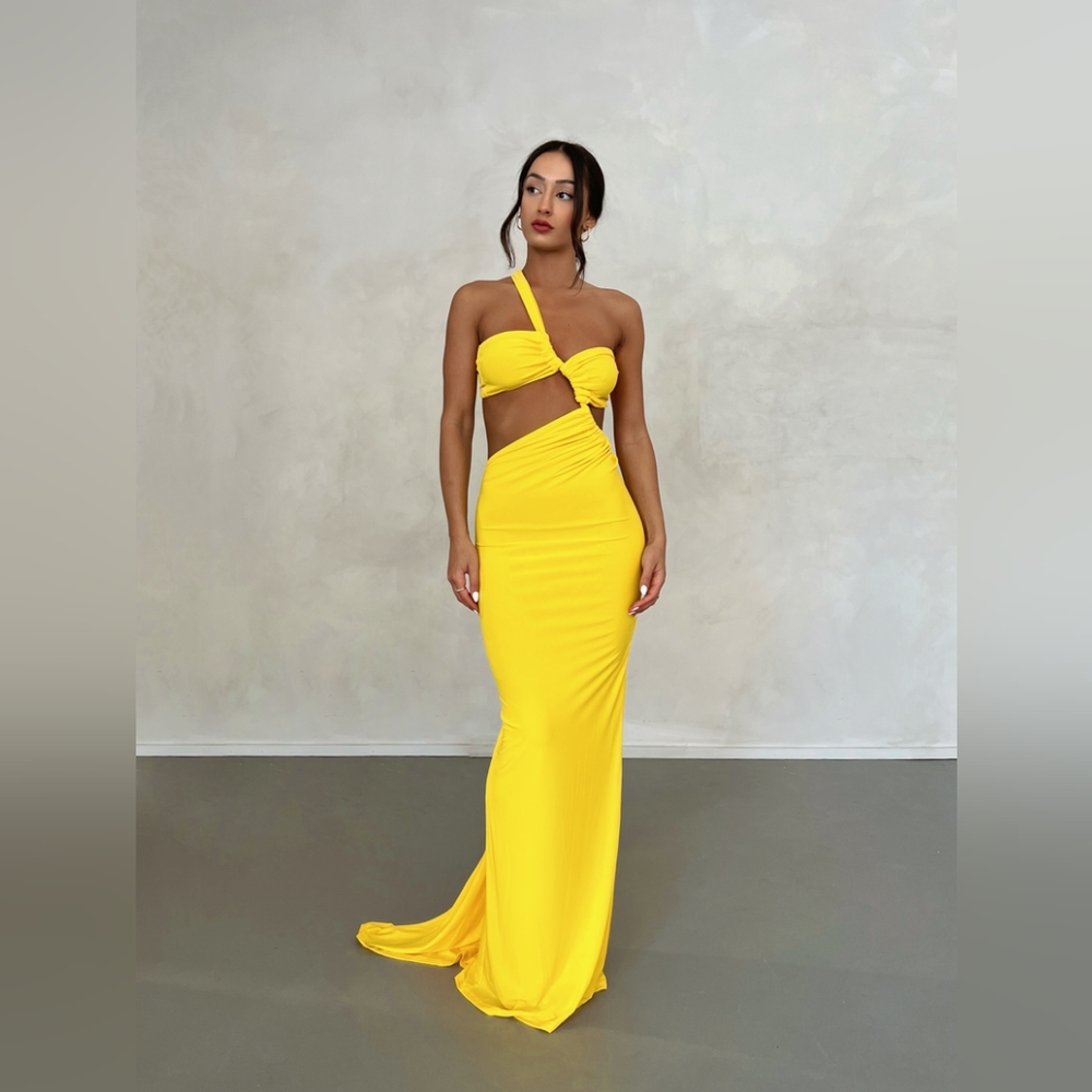 Melani the label sari gown